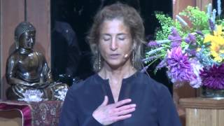 Tara Talks: Healing Fear by Remembering Belonging - Tara Brach