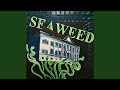 Seaweed