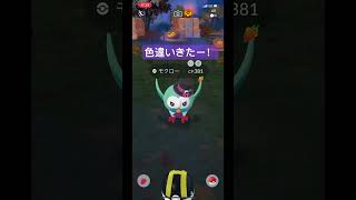 ポケモンGO やっとハロウィンモクローの色違いきてくれた！　最近色違い運が良い！