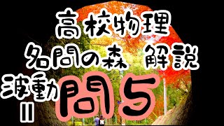 高校物理 名問の森 波動Ⅱ 問5 解説 くさび形薄膜の干渉 暗線間隔 立命館大学 名門の森