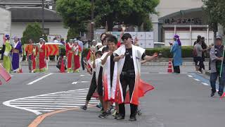 鶴舞お祭り連　2019 坂戸夏よさこい