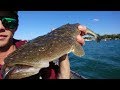 Winters End, Fishing Noosa - *INSANE* Underwater Footage - *HD* - MFJ - Fishing In Australia