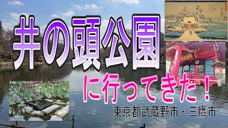 【お散歩記録　参拝記録】　井の頭公園をお散歩　＃お散歩が好き、旅行が好きな方へ