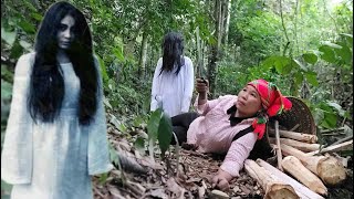 Single mother in danger in the forest - Harvesting cores of natural forest trees to sell