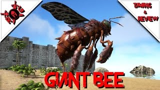 Taming Giant Killer Bees - ARK: Survival Evolved