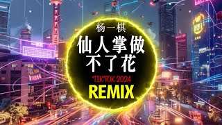 楊一棋 - 仙人掌做不了花 (DJ抖音 Remix)【抖音热门歌曲】『仙人掌拔光刺 也做不了花 我怎麼取悅你 也替不了她 。』抖音 Hot Tiktok Douyin