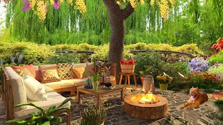 Beautiful Peaceful Garden Ambience, Spring Morning Terrace & Birdsong Sounds for Relax, Meditation