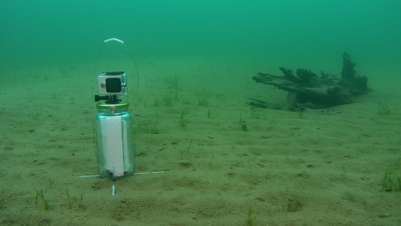 Underwater Timelapse Adventure Part 1 Youtube