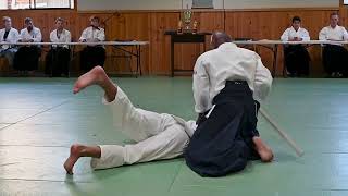 Joe Thambu Sensei - 44th Anniversary Demonstration