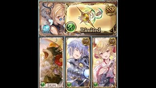 【グラブル】ラファエル拳(ラファ拳) お試し ベンヌHL フルオート 9T 4分41秒 / FA【#グラブル / GBF】