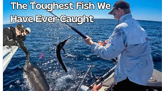 My First Marlin Almost Broke Me – What a Fight!