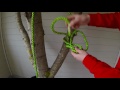 tying the running bowline knot tying for arborists