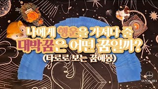 [타로]타로로 보는 대박꿈해몽 #꿈해몽 #타로리딩 #타로