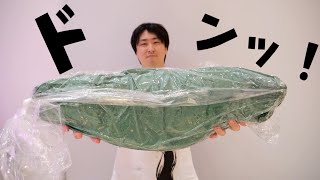 【160,000 Yen for one fish】I processed an unbelievable fish at the end of this year.