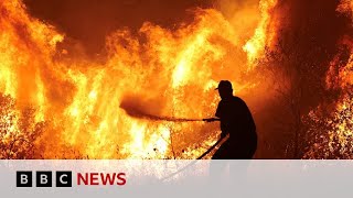 Hundreds of firefighters continue to battle wildfires across Europe  - BBC News