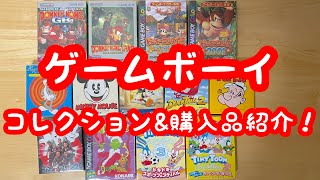 【レトロゲーム】最近買った＆コレクションしているゲームボーイのソフトをご紹介！【GBコレクション】