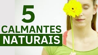 5 CALMANTES NATURAIS - Para Ansiedade, Estresse e Nervosismo!