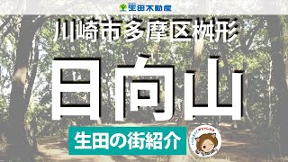 川崎市多摩区【日向山】気軽に散策できる憩いの森。