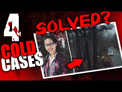 Cold Cases That Were Solved Recently True Crime Documentary Compilation