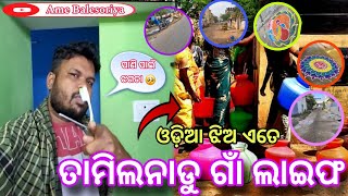 Tamilnadu Village Life ❤️ || Tamilnadu Gan Life 😯|| Odia Vlog@Amebalesoriya