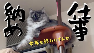 【ゆるっと仕事納めの猫】今年もお疲れ様でした。ゆったりした時間に猫をどうぞ #cat #siberian #猫好きさんと繋がりたい