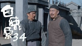 白鹿原 |  White Deer 34【TV版】（張嘉譯、秦海璐、何冰等主演）