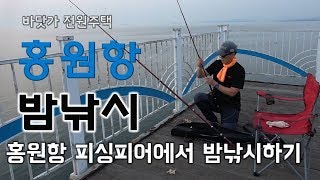 홍원항에서 원투낚시, 밤낚시 하기.