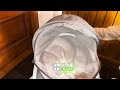 evosmart sw munchkin baby swing unboxing u0026 review