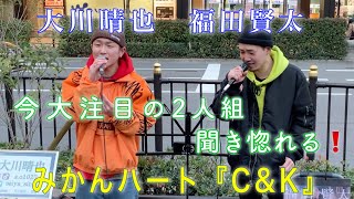 大川晴也　福田賢太　みかんハートC&K  2020.2.23 梅田路上ライブ　歌うま❗️　やっぱり上手い2人組‼️