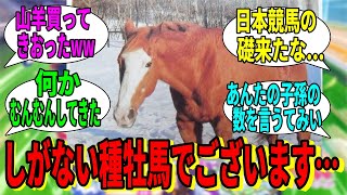 【競馬の反応集】「私はしがない種牡馬でございます……」に対する視聴者の反応集