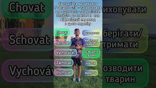 Вгадай, що означають ці чеські слова!  🇨🇿  Частина 12. Вивчаємо чеську мову, граючись! #чеська