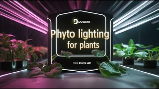 Як світить led фіто лампа е27 для росту рослин