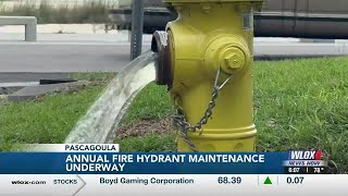 Pascagoula Fire Department carrying out annual fire hydrant maintenance