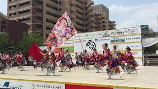 うらじゃ 2019 初日 ほろろ一座 下石井公園