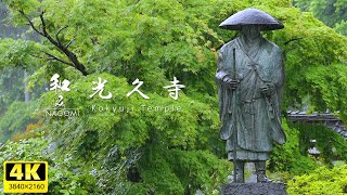 [Nagoya] Kokyuji Temple | Fukyoen Garden | The tea garden is a stroll-style garden with a pond