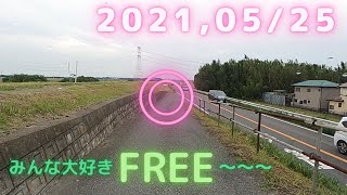 利根川ゆうゆう公園（デイキャンプ広場　千葉県我孫子市）～茨城県　車載撮影　ドライブして見たよ　Japanese driving