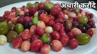 इस तरह बनाये करौंदे की चटपटी सब्जी सिर्फ  पांच मिनट में | Karonda Ki Sabji Recipe | Karonda Sabzi |