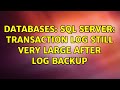 Databases: SQL Server: Transaction log still very large after log backup