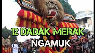 12 Dadak Merak Ponorogo Ngamuk