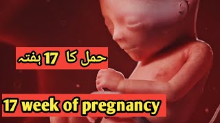 17 week of pregnancy in urdu || @talkabouthealth9675