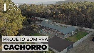 CANIL DON PETRUS | PROJETO BOM PRA CACHORRO