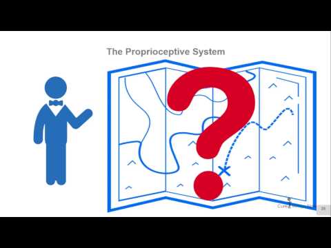 The Proprioceptive System The Proprioceptive System