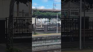 駅のホームにブドウ園？  JR塩尻駅  #jr  #中央本線