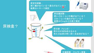 【医学部保健学科】知ってみたい・臨床検査4（一般検査）