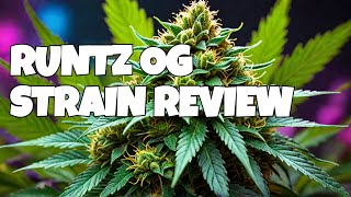 Runtz OG Strain: The Ultimate Review