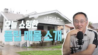 [LIVE] 오늘 쇼잉한 따끈따끈 매물소개