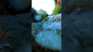 3 流水〡Flowing water〡潺潺的溪水，清澈见底，心灵的声音也是如此！