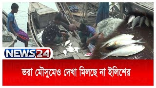 ভরা মৌসুমেও মেঘনা ও তেঁতুলিয়া নদীতে দেখা মিলছে না ইলিশের News24