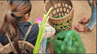 Trip to buy Avocado in Indigenous Village Mondulkiri ទៅទិញប៊័រ របស់ជនជាតិដើមភាគតិចក្នុងភូមិពូត្រំបី។