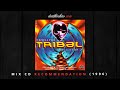 DT:Recommends | Techno Tribal Vol. 2 - Guillaume La Tortue (1996) Mix CD 2